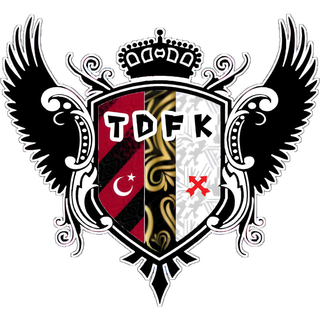 TRAFİK DENETLEME FK